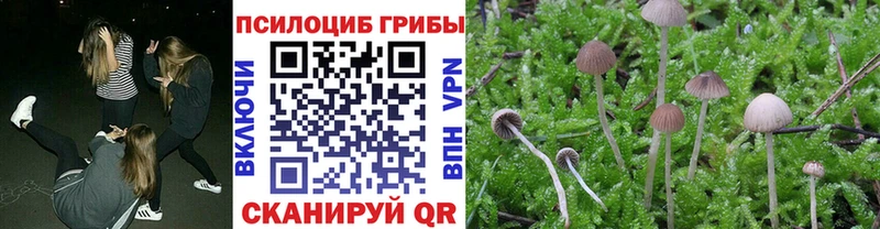 Галлюциногенные грибы мицелий  купить наркотики цена  площадка как зайти  Железногорск-Илимский 